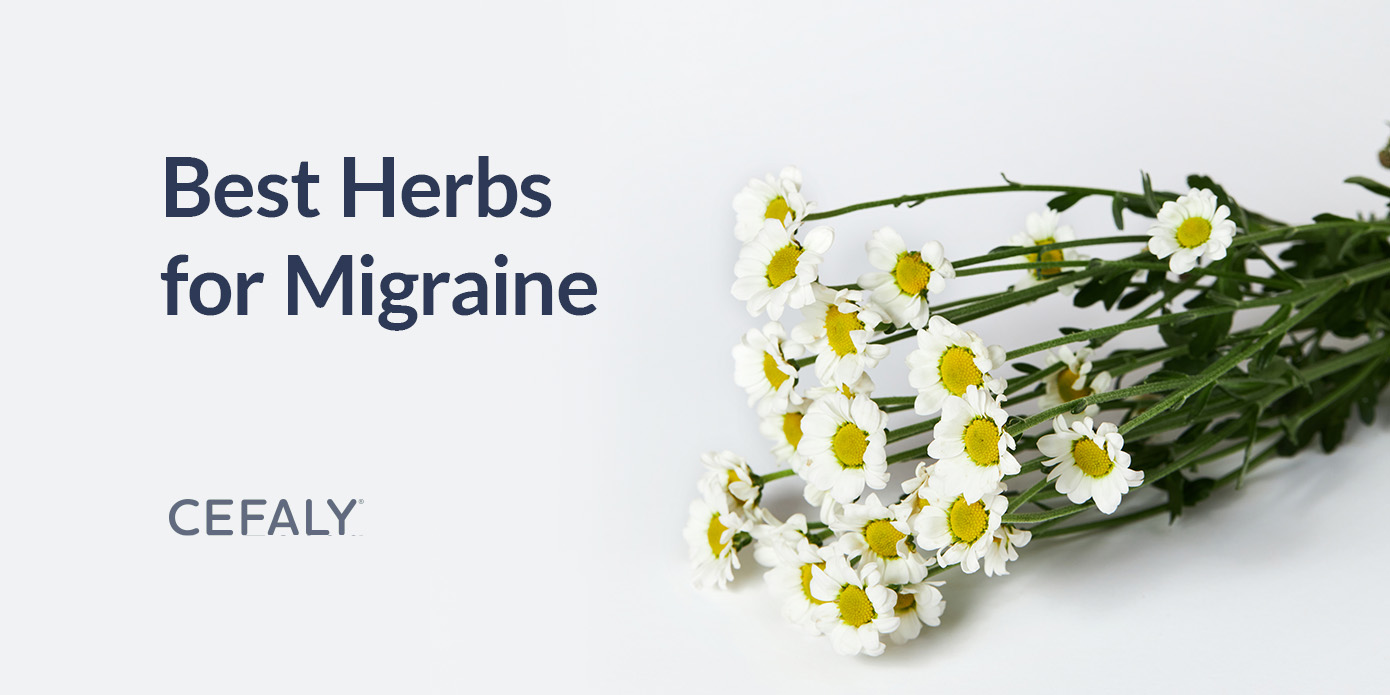 Best Herbs for Migraine